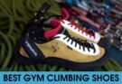 the best gym climbing shoes