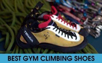the best gym climbing shoes